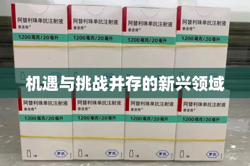 开封机遇与挑战并存的新兴领域