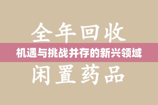 开封机遇与挑战并存的新兴领域
