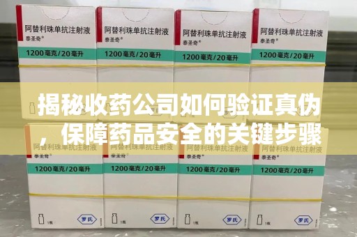 开封揭秘收药公司如何验证真伪，保障药品安全的关键步骤