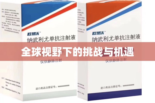 开封全球视野下的挑战与机遇