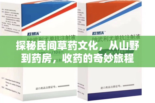 开封探秘民间草药文化，从山野到药房，收药的奇妙旅程